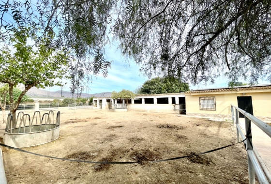 Перепродажа - Finca - Orihuela - Inland
