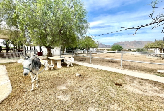 Перепродажа - Finca - Orihuela - Inland