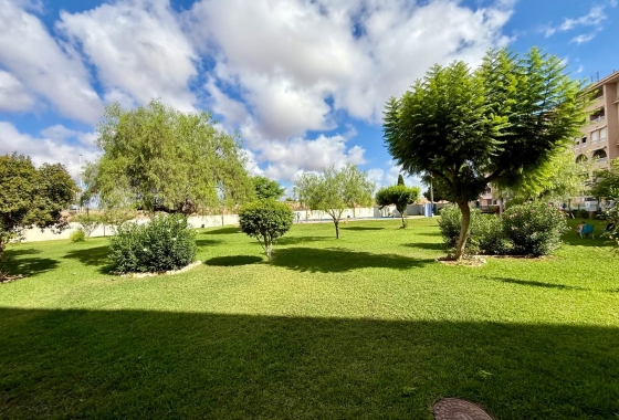 Resale - Apartment / flat - Torrevieja - PARQUE DE LAS NACIONES