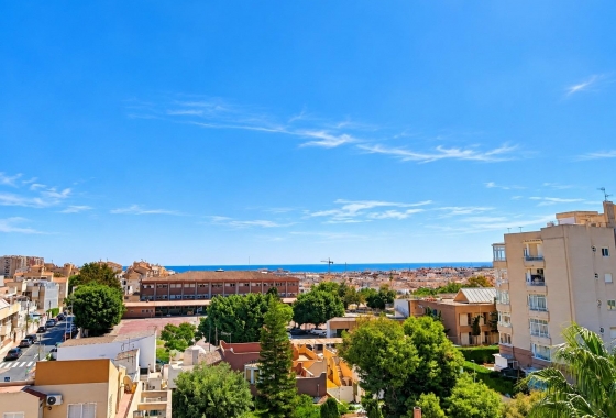 Новостройка - Квартира - Torrevieja - Nueva Torrevieja
