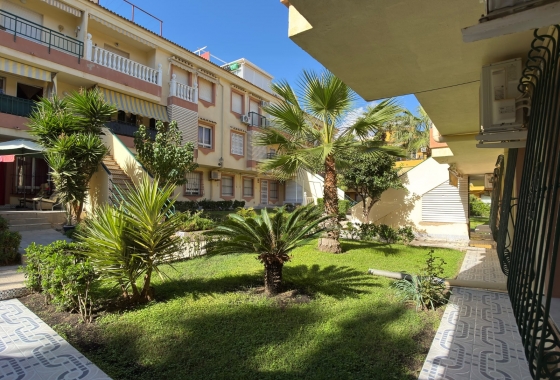 Revente - Appartement - Torrevieja - Costa Blanca