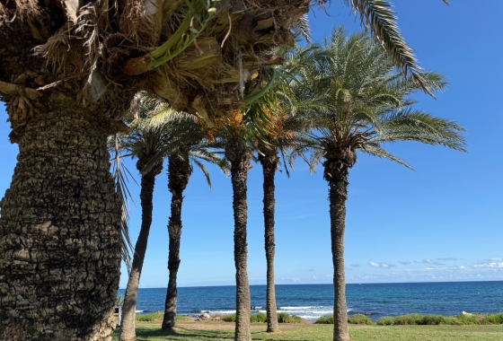 Revente - Appartement - Torrevieja - Costa Blanca