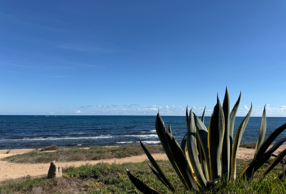 Revente - Appartement - Torrevieja - Costa Blanca