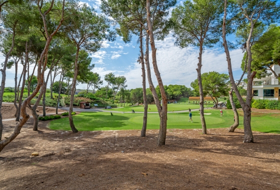 Перепродажа - Пентхаус - Orihuela Costa - Costa Blanca