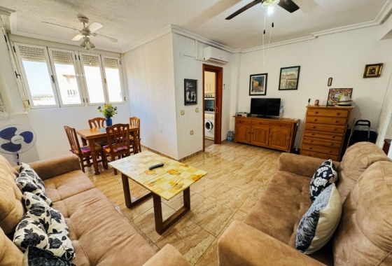Перепродажа - Квартира - La Mata