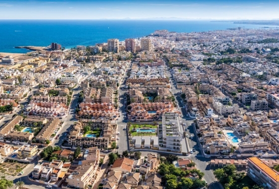 Nouvelle construction - Maison de ville - Torrevieja - Los Frutales
