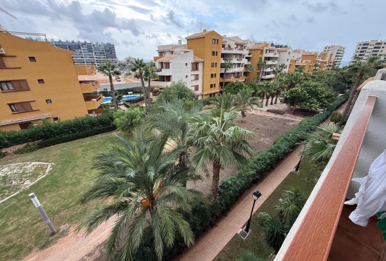 Перепродажа - Квартира - Torrevieja - Punta Prima
