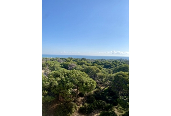 Новостройка - Бунгало - Guardamar del Segura - Guardamar Del Segura