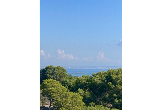 New Build - Apartment / flat - Guardamar del Segura - Guardamar Del Segura