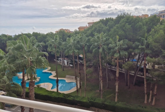 Wiederverkauf - Wohnung - Orihuela Costa - Campoamor