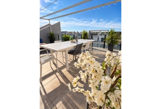 Resale - Apartment / flat - San Miguel de Salinas