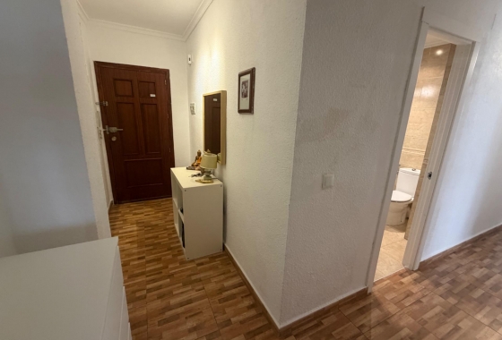 Herverkoop - Appartement / flat - Torrevieja - Estacion De Autobuses