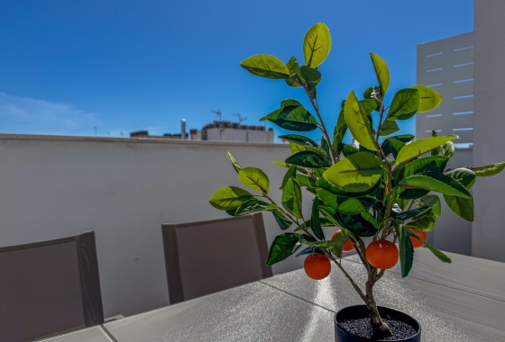 Revente - Appartement - Torrevieja - Costa Blanca