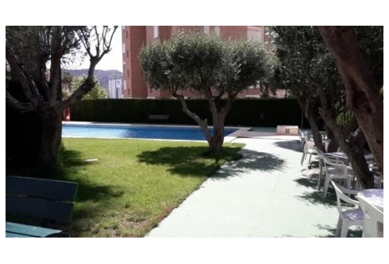 Herverkoop - Appartement / flat - Benidorm - Costa Blanca