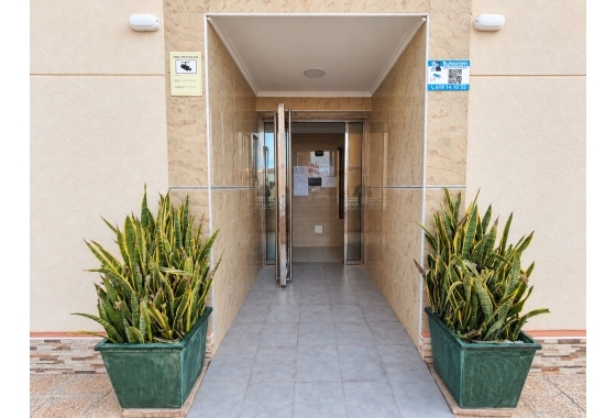 Revente - Appartement - Torrevieja - Costa Blanca