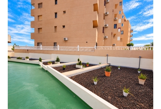 Revente - Appartement - Torrevieja - Costa Blanca