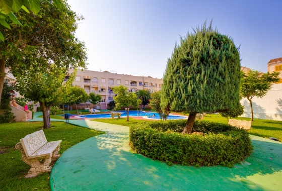 Resale - Penthouse - Torrevieja - Costa Blanca
