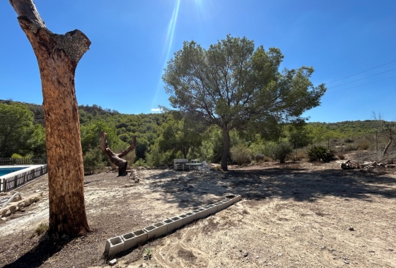 Resale - Finca - Torremendo - Costa Blanca