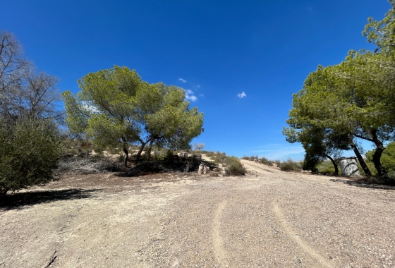 Resale - Finca - Torremendo - Costa Blanca