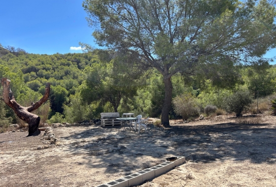 Resale - Finca - Torremendo - Costa Blanca