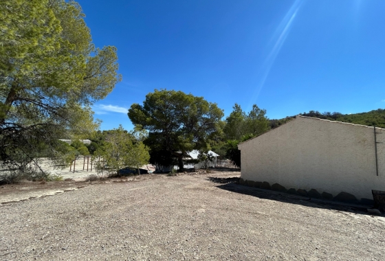 Resale - Finca - Torremendo - Costa Blanca