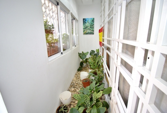 Revente - Appartement - Elche - Plaza Crevillente-juzgados
