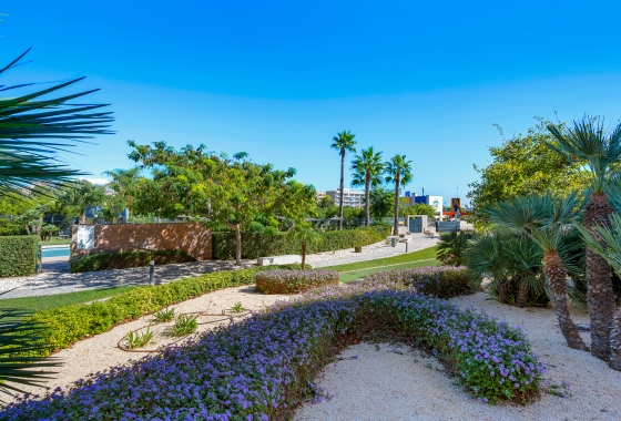 Reventa - Apartamento / piso - Mil Palmeras - Costa Blanca
