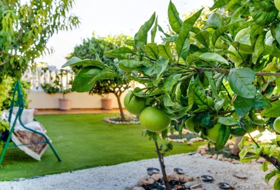 Resale - Villa - Orihuela Costa - Lomas De Cabo Roig