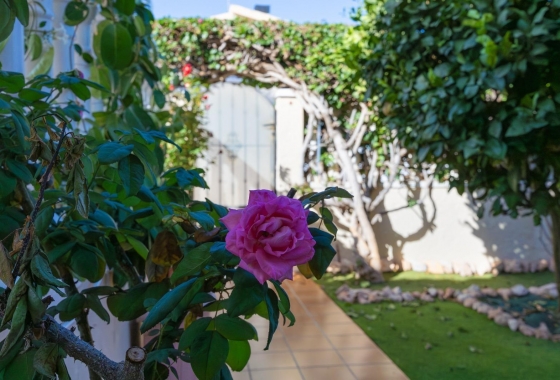 Resale - Villa - Orihuela Costa - Lomas De Cabo Roig