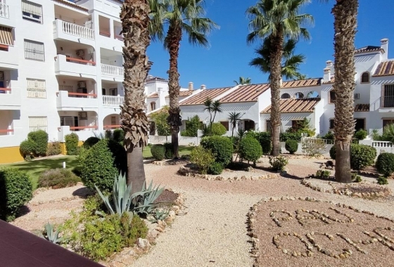 Reventa - Apartamento / piso - Orihuela Costa - Pau 8